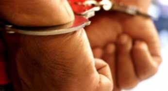 Anggota KKB Buka Suara, Jengkol Langsung Dibekuk