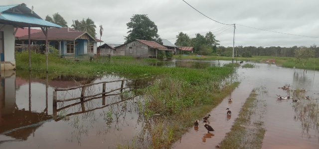 Wapeko dan Kampung Sumber Rejeki Terendam Banjir