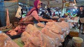 Dinas Perdagangan Perketat Pengawasan Produk Ayam Beku