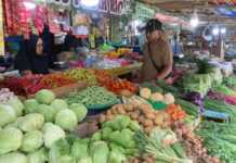 Tiga Jenis Komoditas di Timika Mulai Merangkak Naik