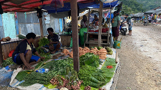 Optimalkan Sagu dan Umbi-umbian Jadi Pilar Utama Pangan