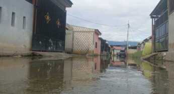 Bupati Jayapura Beri Peringatan Tegas kepada Pengembang Perumahan