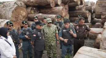 Kemenhut Tetapkan Tersangka Pembakalan Liar