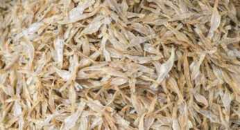 Awas Kanker! Bahaya Formalin dalam Makanan dan Cara Mengenalinya