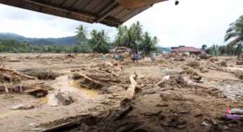 Tak Murni Siklon Tropis Senyar Sebab Kulit Kayu Bisa Bercerita