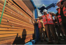 Lonjakan Ekspor Papua Didominasi Produk Kayu, Capai US$15,4 Juta