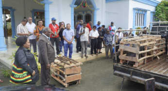 Pemkot Salurkan 100 Ekor Babi dan Beras ke Gereja