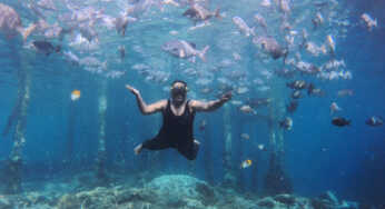 Di Atas Puas Lihat Keindahan Pulau Karang, Puas Berenang Dikelilingi Ikan