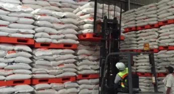 Bulog dan Satgas Pangan Awasi Stok Beras Jelang Ramadan