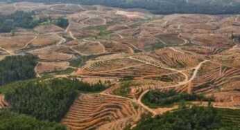 Raja Juli Antoni: Masyarakat Bisa ‘Membeli’ Hutan