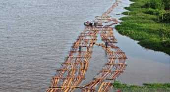 Kemenhut: Pencabutan Izin 28 Perusahaan Tata Perekonomian Berbasis SDA