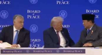 MUI Desak Indonesia Keluar dari Keanggotaan Board of Peace