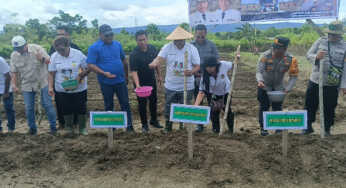 Kab. Jayapura Jadi Prioritas Pengembangan Jagung untuk Swasembada Pangan