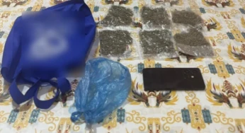 Sat Resnarkoba Polres Jayapura Tangkap Pelaku Pemilik Ganja