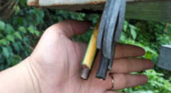 Lampu Jembatan Merah Mati Gara-gara Kabel Dicuri