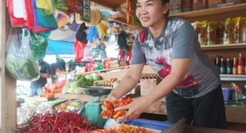 Harga Cabai Rawit Rp 120 Ribu/Kg