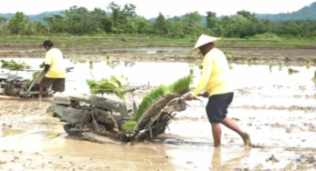 Alat Berat Terbatas, Cetak Sawah Papua Masih Lambat