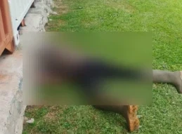 Seorang Pria Ditemukan Tak Bernyawa di Lapangan Terbang MAF