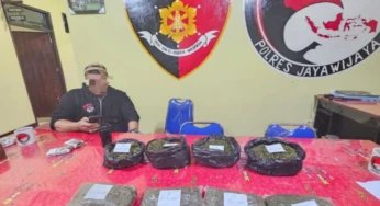 Penyelundupan 925,38 Gram Ganja dari Distrik Tangma Digagalkan