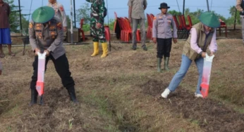 Dukung Ketahanan Pangan, Polres Merauke Tanam Raya Jagung Serentak