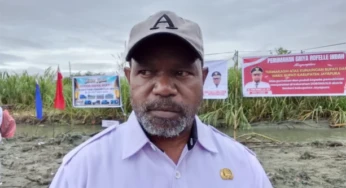 DLH Kab. Jayapura Segera Pangkas Dahan Pohon yang Rimbun