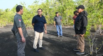 Di Pulau Owi, Landasan Pacu Eks Perang Dunia II Masih Ada