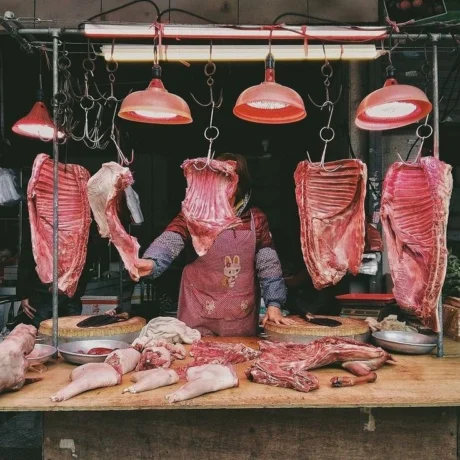 7 Orang di Mamuju Keracunan Daging Anjing, Kemenkes Ingatkan Bahaya Zoonosis