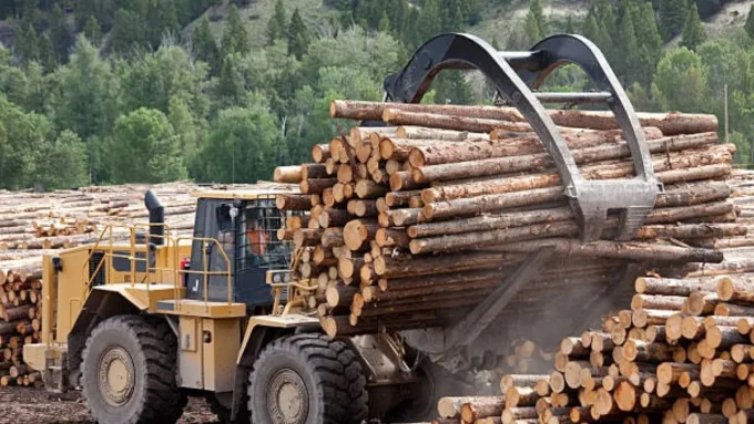 Deforestasi Indonesia Melonjak Tajam di Tengah Tarik-ulur Data