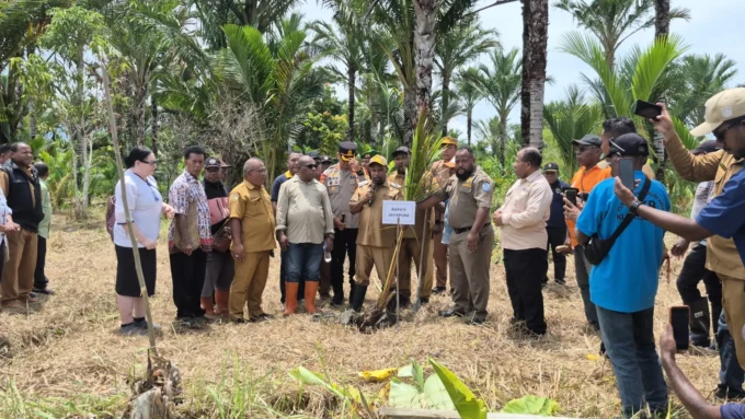 3-TENGAH