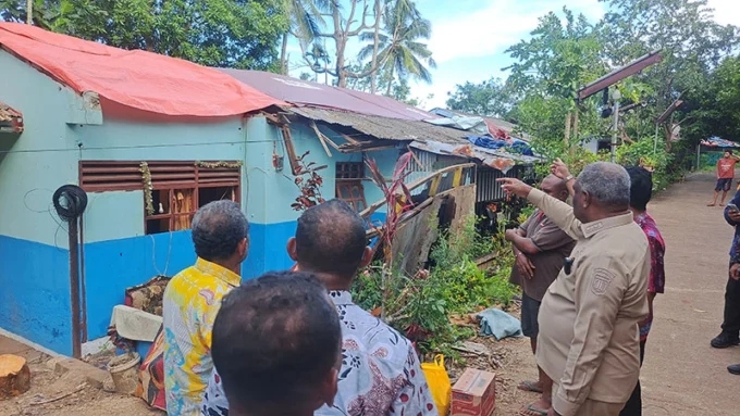Pohon Tumbang Timpa Dua Rumah, 14 Jiwa Terdampak