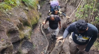 Ketemu Tupai Jinak, Kayu Bolong dan Guyuran Hujan
