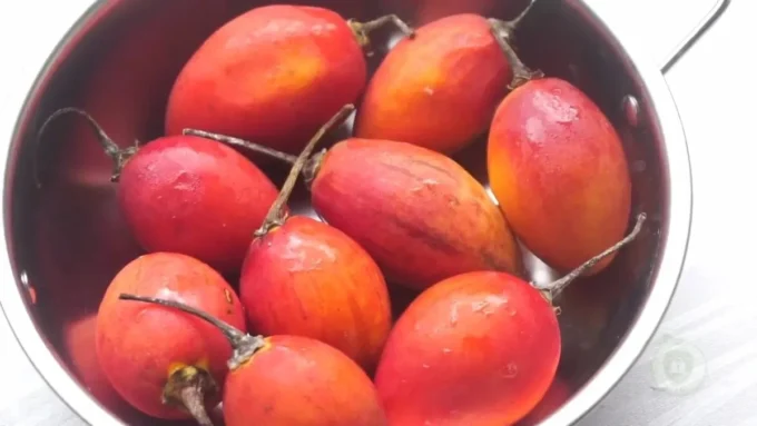 9 Manfaat Terong Belanda untuk Kesehatan, Buah Asam Segar yang Kaya Nutrisi
