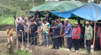 Bentuk Program Ketahanan Pangan Berbasis Lokal Wabub Jayawijaya Panen Ikan Di Silokarno Doga