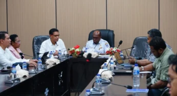Pemprov Papua Selatan Bentuk Forum Energi Daerah