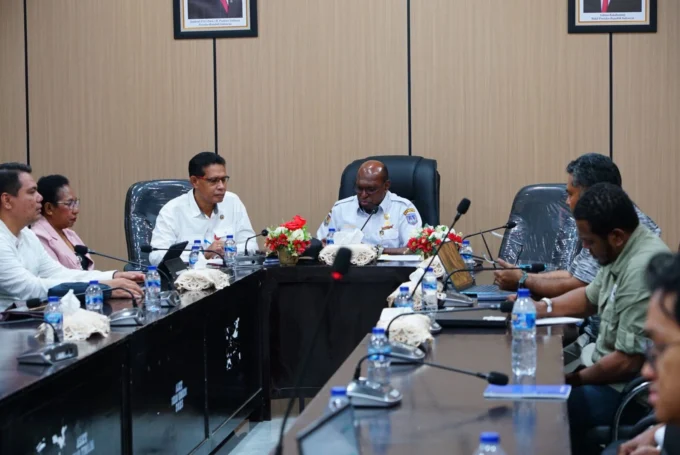 Pemprov Papua Selatan Bentuk Forum Energi Daerah