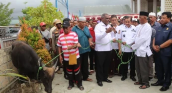 Iduladha 1447 H, Pemkot Siapkan 100 Ekor Sapi Qurban, 10 Ekor Bantuan Pribadi ABR