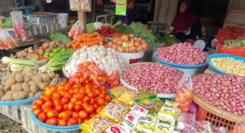 Harga Bapok di Pasar Melejit, Pedagang Mengeluh Sepi Pembeli