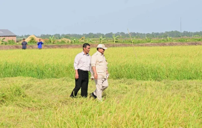 Sawah di Merauke