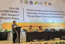 Dana Karbon Dunia Mulai Mengalir ke Papua Foto 3 tengah