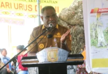 Wali Kota Abisai Rollo