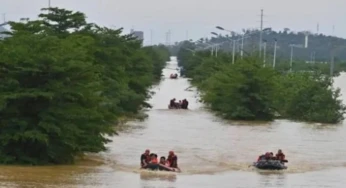 Ratusan Ular Kobra Lepas saat Banjir , Warga Digigit hingga Dilaporkan Tewas