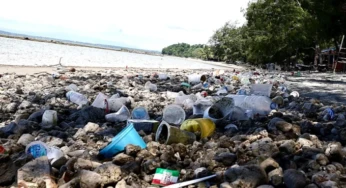 Lautan Batu Apung Kepung Pantai Hamadi