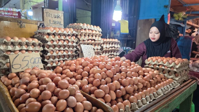1-Telur