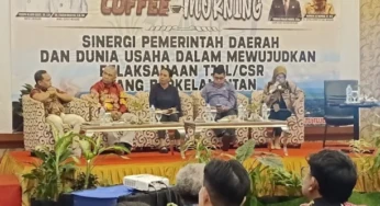 Tahun Ini, DPMPTSP Merauke Targetkan Investasi Rp 7 Triliun