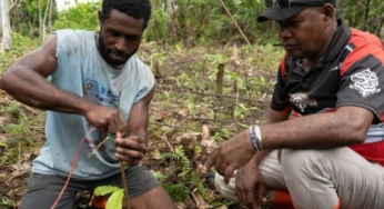 Pelatihan Kakao Perkuat Kapasitas Petani dan Koperasi di Raja Ampat