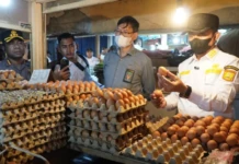 telur ayam