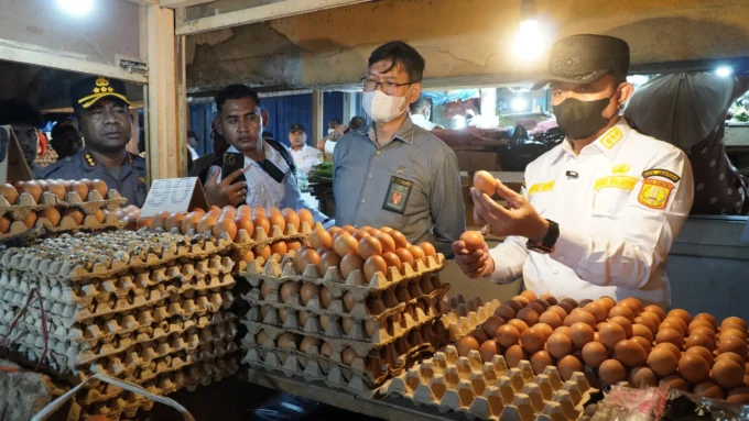 telur ayam