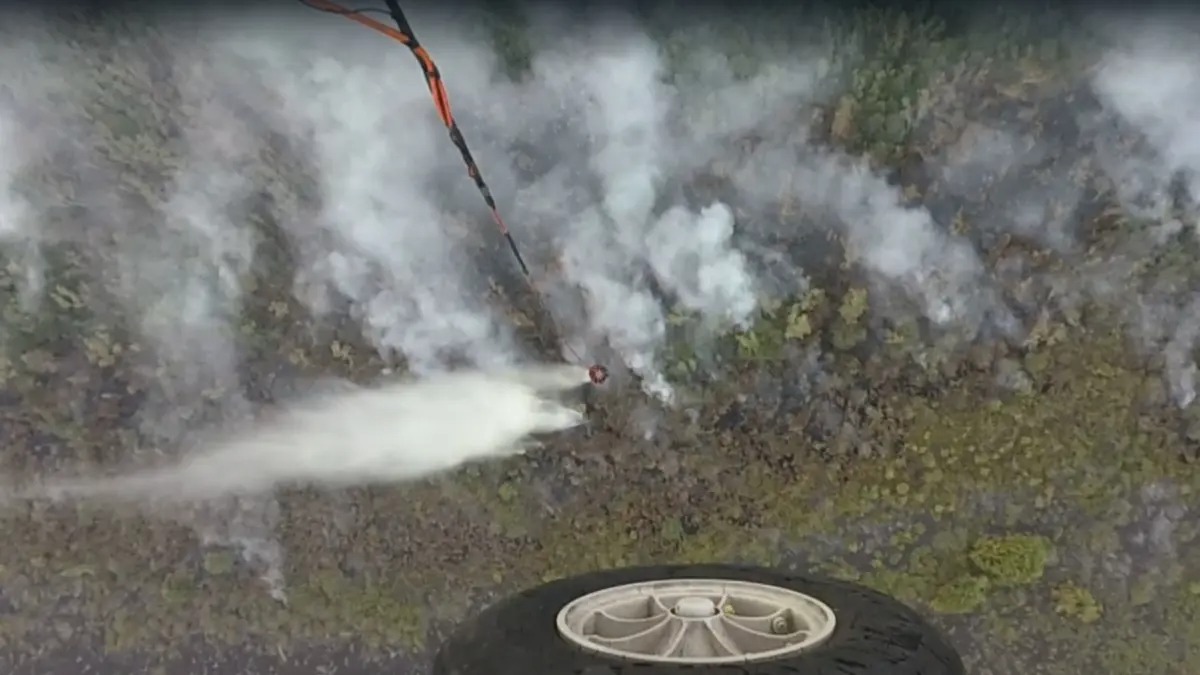 Ternyata Bukan dari Tepung Ubi, Pakar IPB Sebut Tepung Jagung
