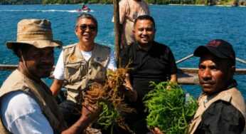 Rumput Laut Sarawandori Berpotensi Jadi Sentra Hilirisasi Ekonomi Papua