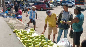 Mangga Golek Banjiri Pasar Pharaa Sentani